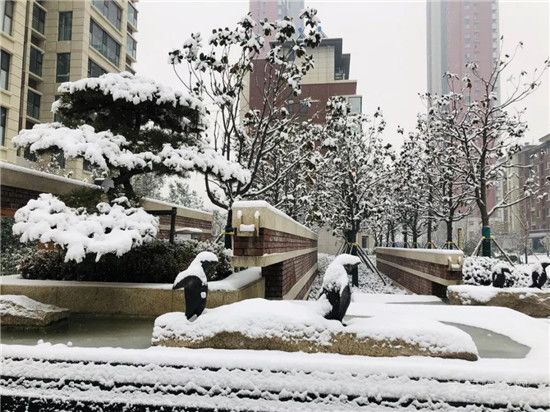 皚皚白雪映紅墻 首府雪景似畫廊