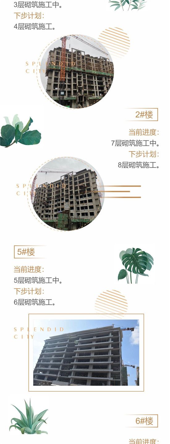 初夏已至，家音來報|開元·錦都 5月工程進度播報