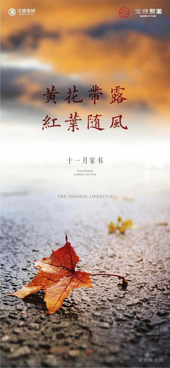 黃花帶露，紅枼隨風(fēng)|寶德·熙園敬呈十一月家書