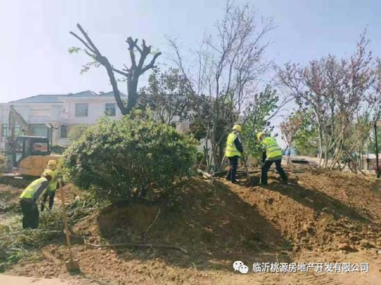 瑞德新居園林改造突飛猛進(jìn)，見證‘家’速度