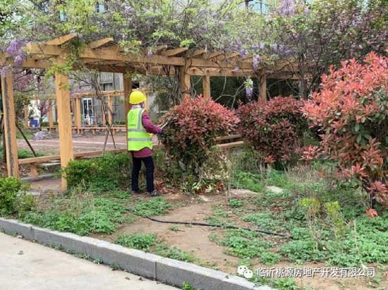 瑞德新居園林改造突飛猛進(jìn)，見證‘家’速度