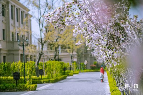 【白鷺金岸】周末活動 | 帽美如花，繽紛初夏